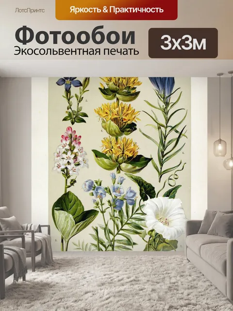 Фотообои Цветочная иллюстрация полевых цветов ста