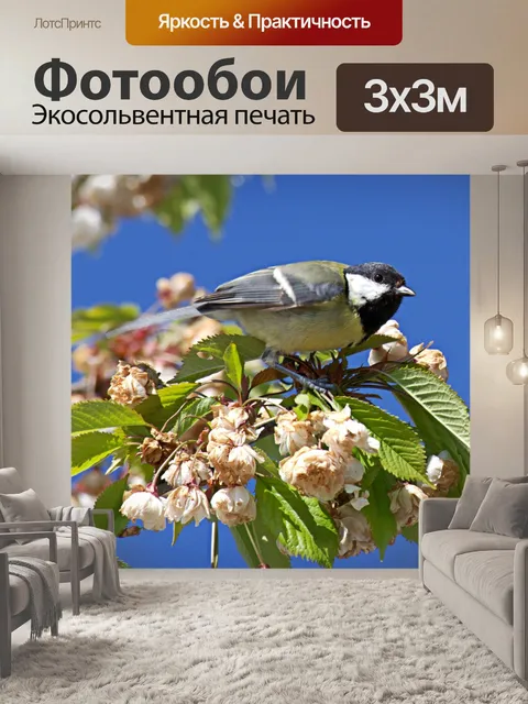 Фотообои Птица