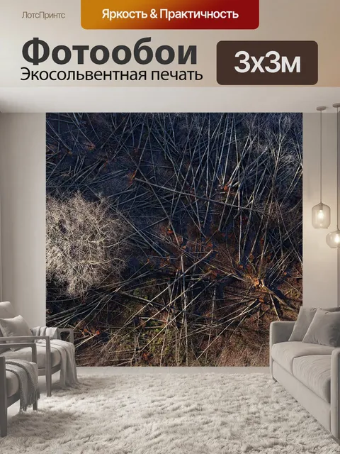 Фотообои Деревья