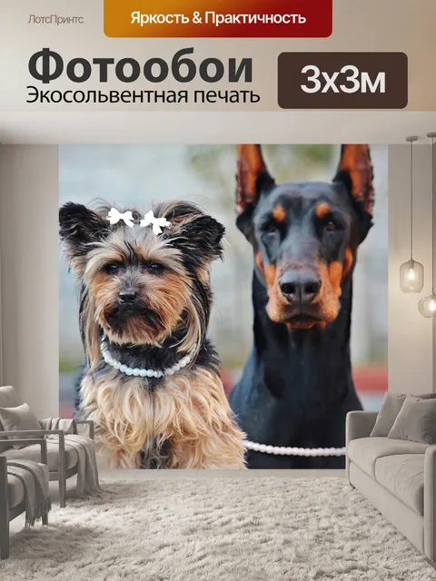 Фотообои Собака