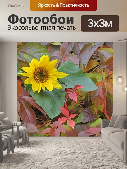 Фотообои Осень
