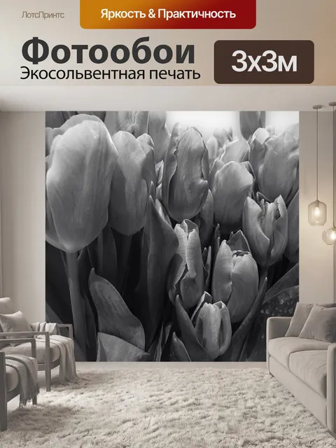Фотообои Тюльпаны в черном и белом