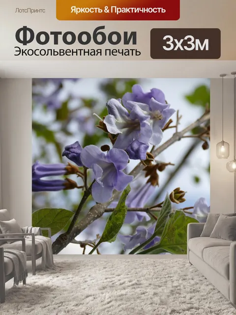 Фотообои Фиолетовый