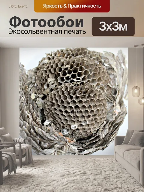 Фотообои Осиное гнездо