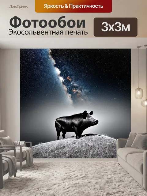 Фотообои под космическим небом
