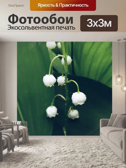 Фотообои Ландыш
