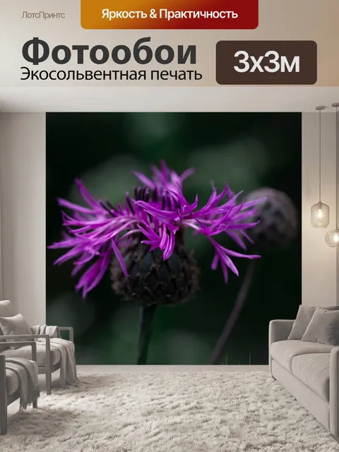 Фотообои Василек