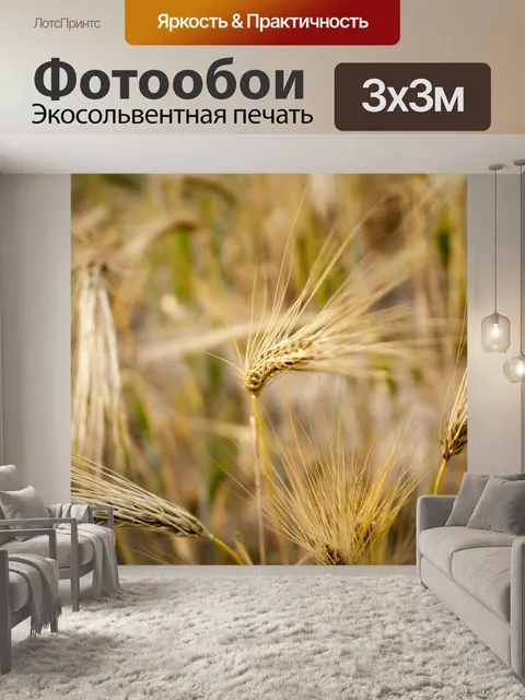 Фотообои Пшеница