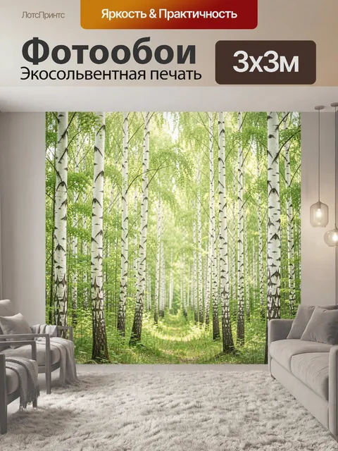 Фотообои Березовый лес в солнечном свете