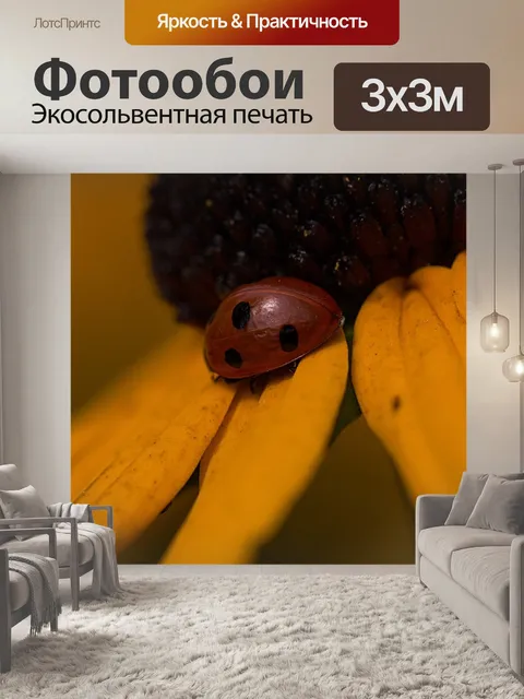 Фотообои Божья коровка