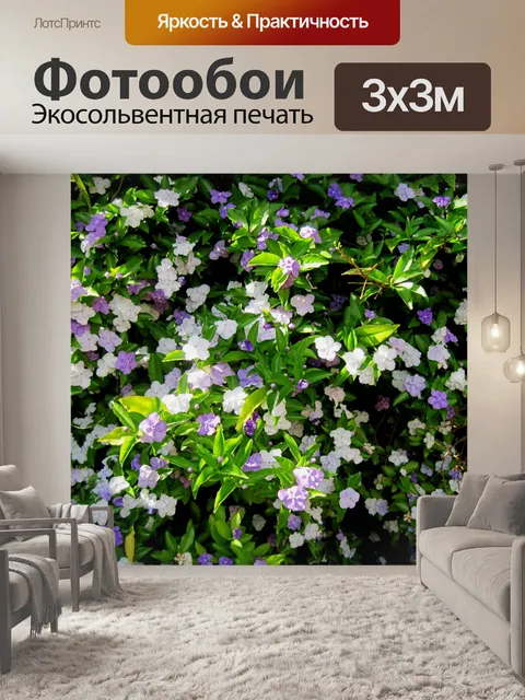 Фотообои Brunfelsia род кустарников