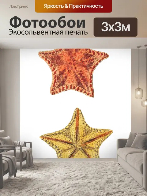 Фотообои Морская звезда винтажное искусст