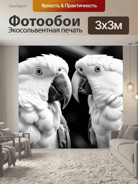 Фотообои с попугаями чернобелый