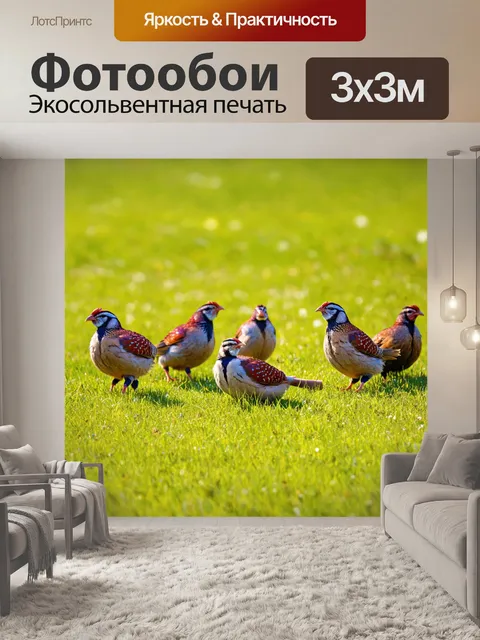 Фотообои солнечный день на лугу, где перепелы собираются в группу, создавая удивительное партнерство
