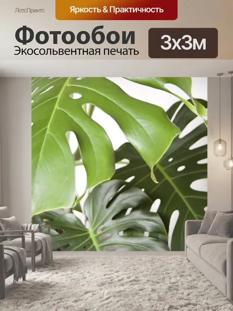 Фотообои Монстера