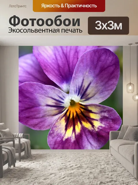Фотообои Анютины глазки возбужденный фиолетовый ц