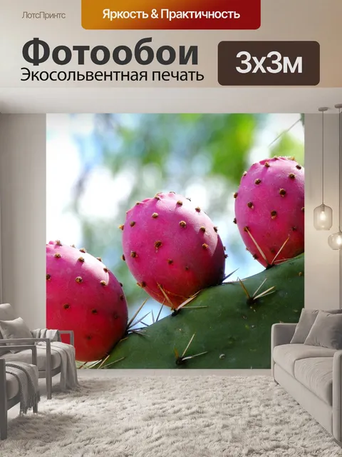 Фотообои Цветы кактуса