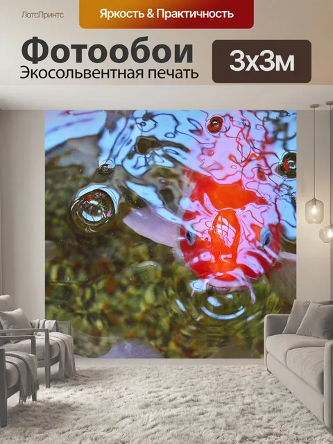Фотообои Koi рыбы