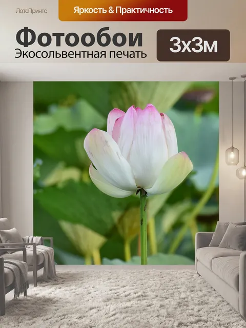 Фотообои Цветочный