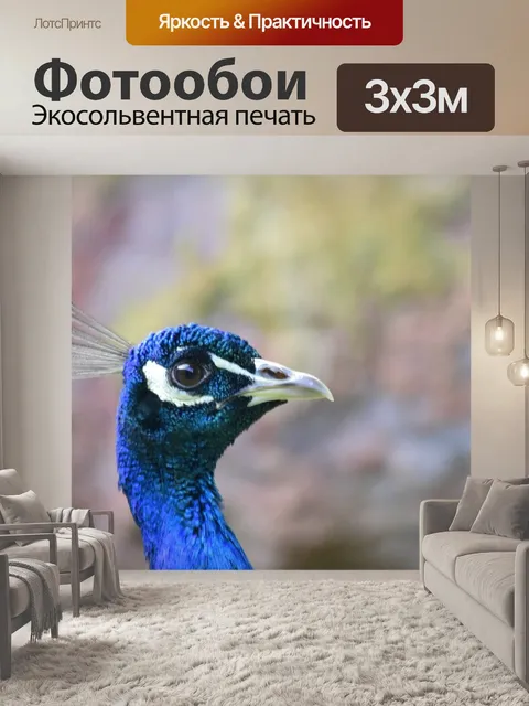 Фотообои Павлин