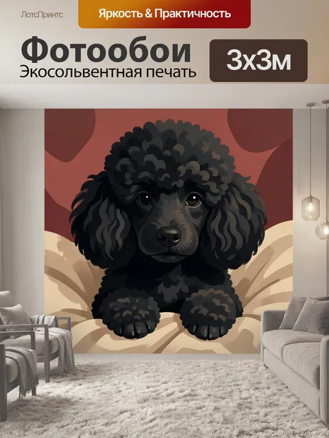 Фотообои Черный пудель на мягком фоне
