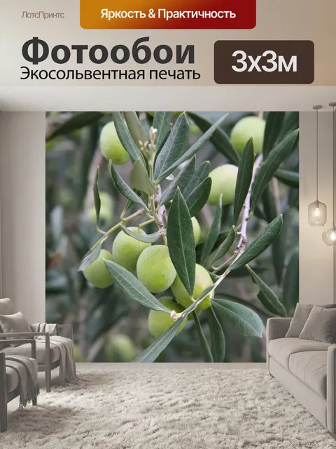 Фотообои Еда