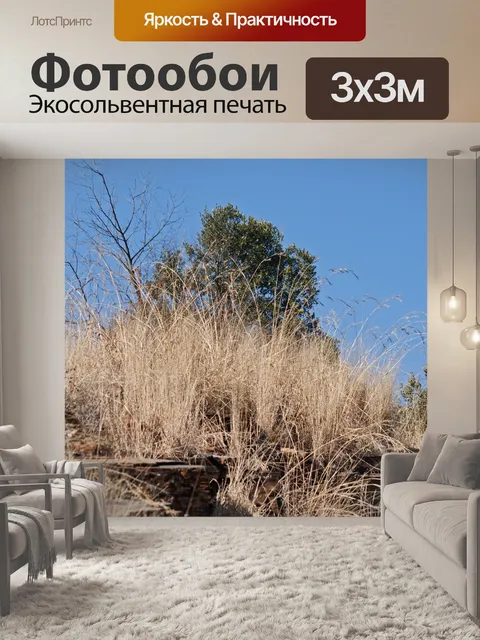 Фотообои увядшая спящая трава зимой