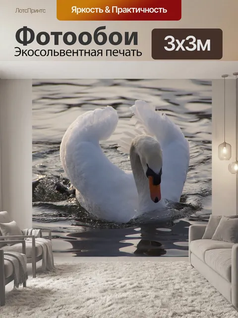 Фотообои Лебедь