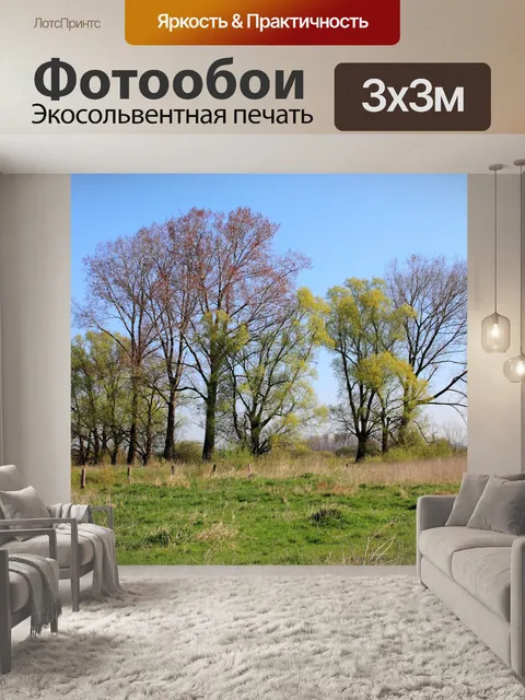 Фотообои Фон