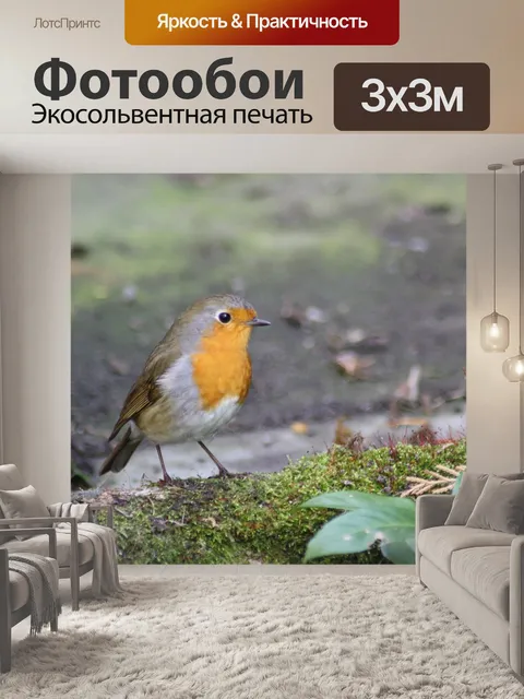 Фотообои Птица