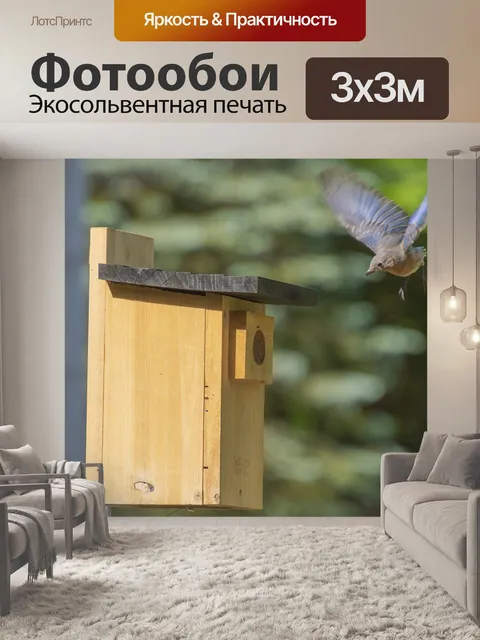 Фотообои Синяя птица
