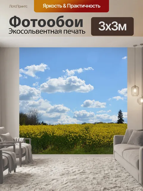 Фотообои Рапс