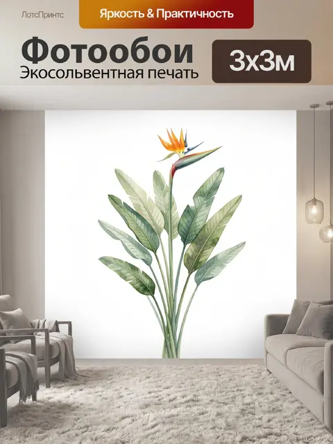 300 × 300 см · Экосольвентная печать