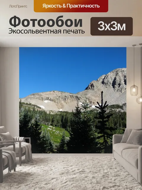 Фотообои Субальпийский лес
