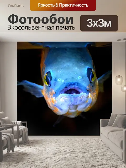 Фотообои Рыба