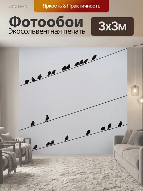 Фотообои Птиц на электрических проводах