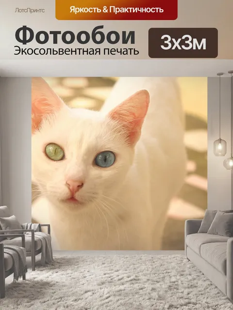 Фотообои Белый кот