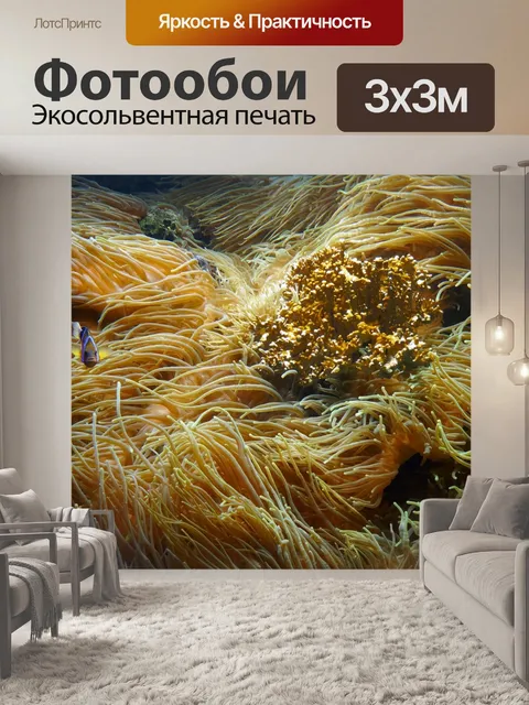 Фотообои Коралловый риф