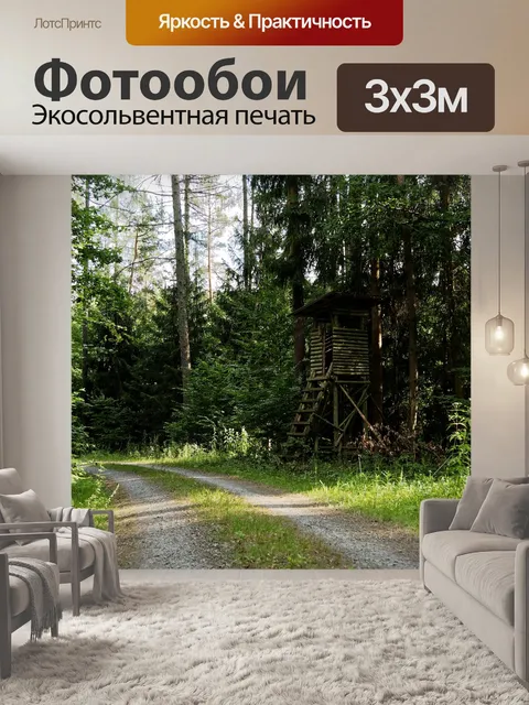 Фотообои Лесная тропа