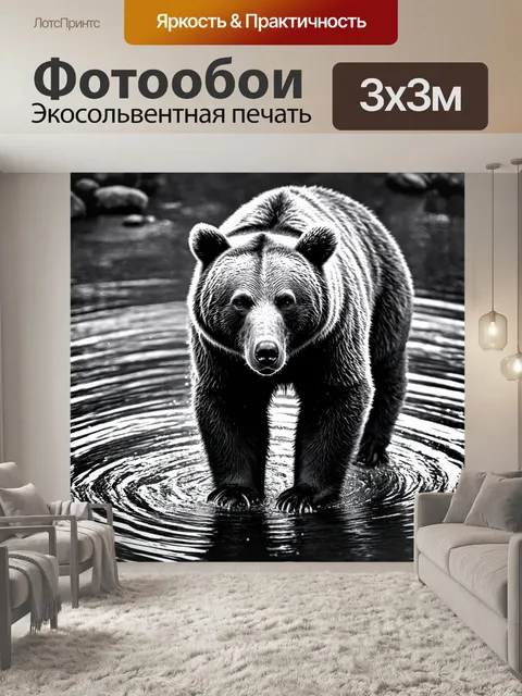 Фотообои животные в стиле черно-белый: бурый медведь, стоящий на потоке с отражением в воде, создающим симметрию