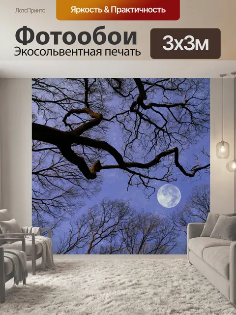 Фотообои Лунный свет звезды деревья небо