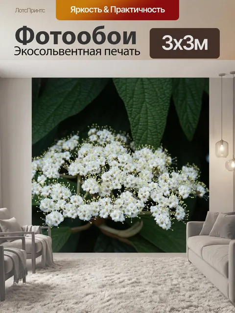 Фотообои Белые цветы в зеленых листьях