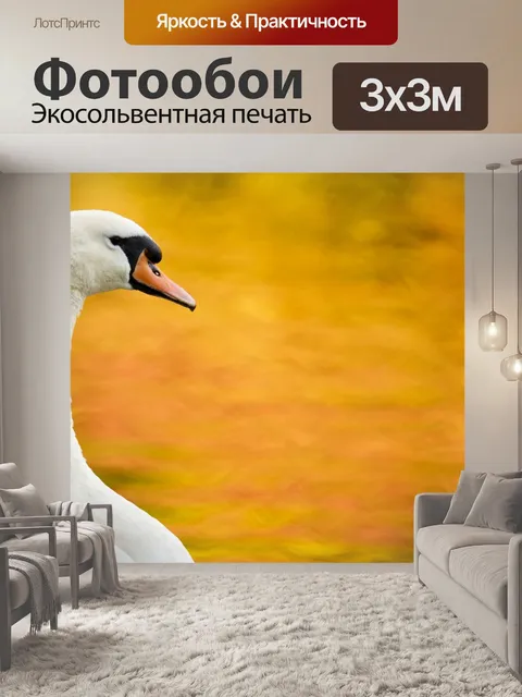 Фотообои Лебединое осенью