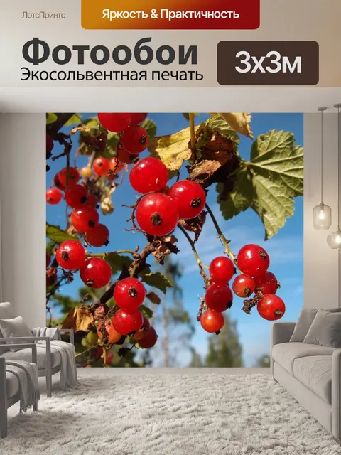 Фотообои Ягода