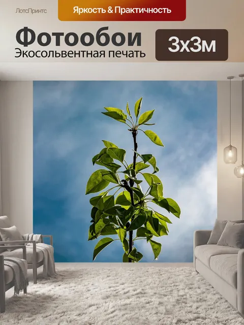 Фотообои Ветвь