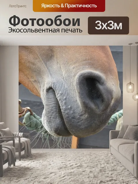 Фотообои Конский нос