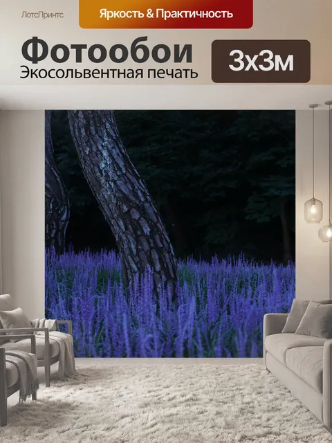 Фотообои Лес