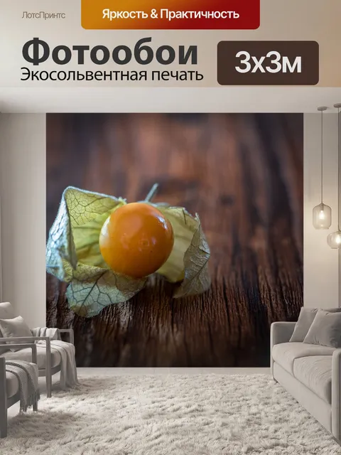 Фотообои Физалис