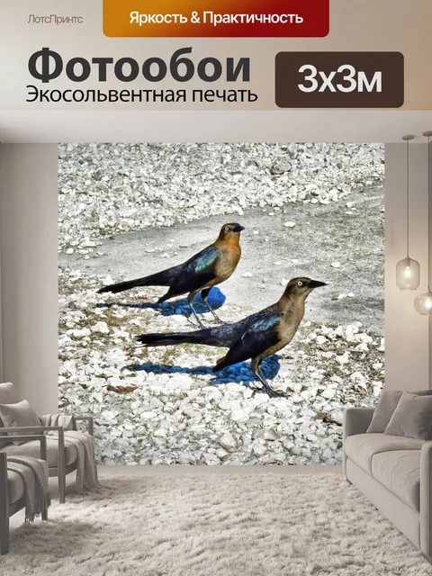 Фотообои Одного поля ягода