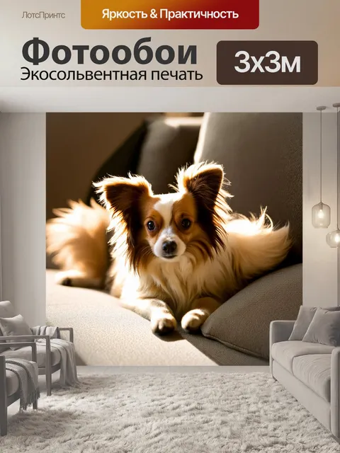 Фотообои папильон, уставший после игры, лежит на диване в солнечном свете, как будто замирает в момент покоя